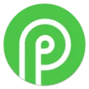 Payid19 Coupon Codes
